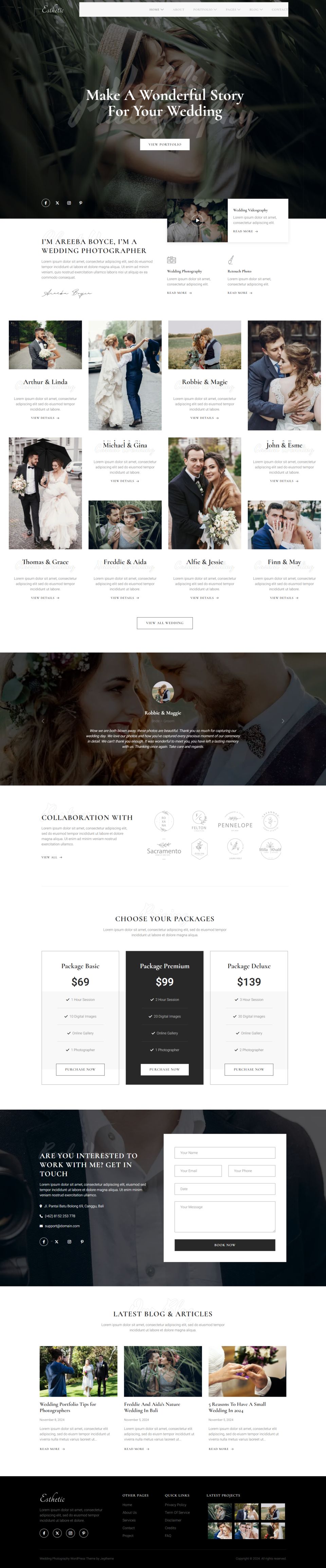 WordPress template ThemeForest Esthetic