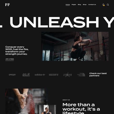 ThemeForest FitFlex