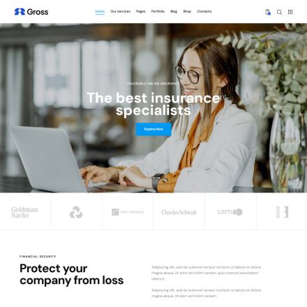 ThemeForest Gross