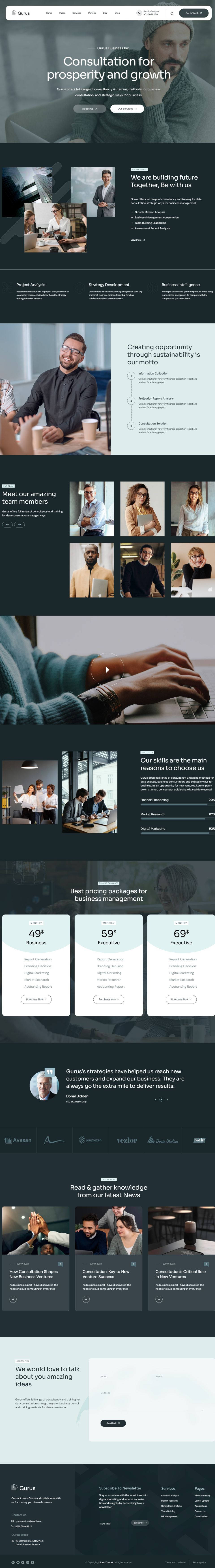 WordPress template ThemeForest Gurus