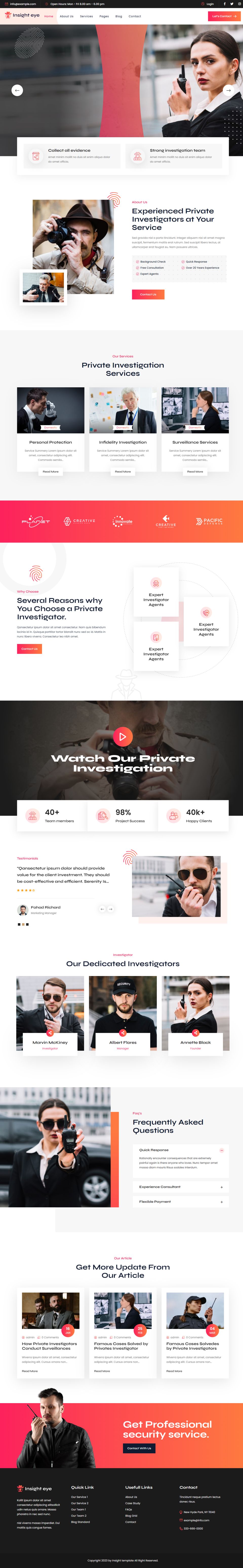 WordPress template ThemeForest Insighteye