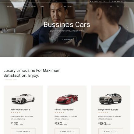 ThemeForest LuxeDrive