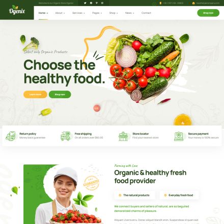 ThemeForest Ogenix