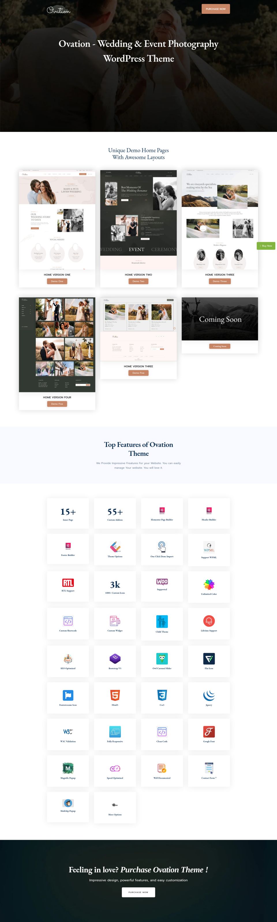 WordPress template ThemeForest Ovation