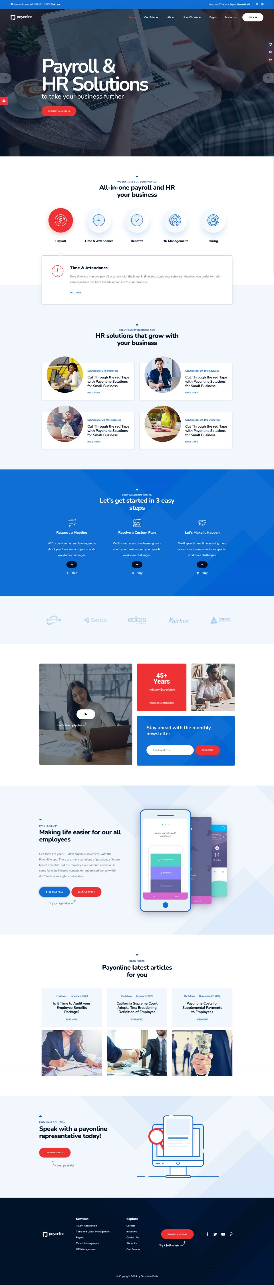 WordPress template ThemeForest Payonline
