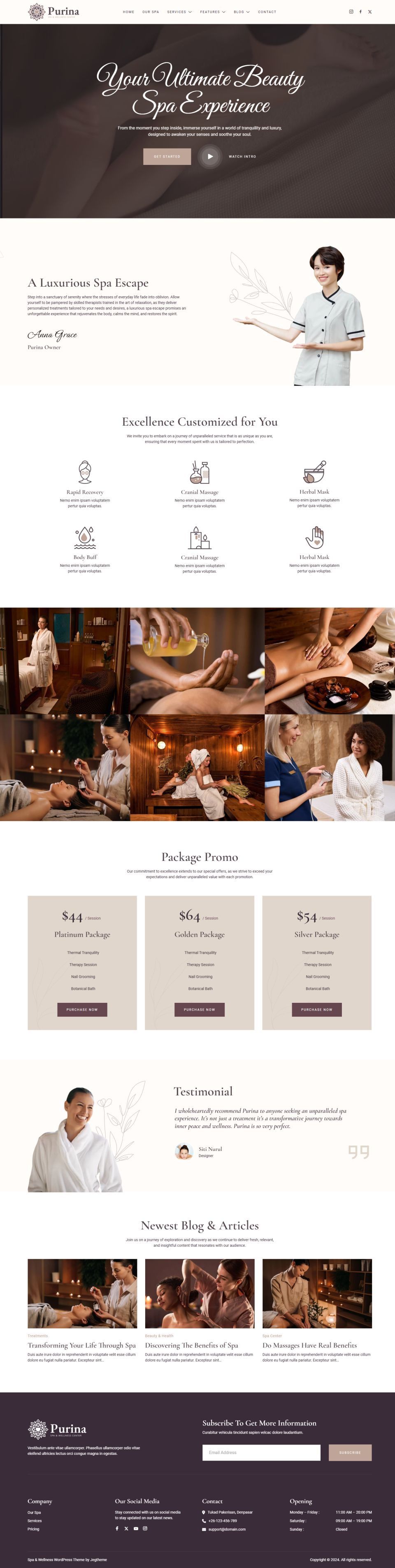 WordPress template ThemeForest Purina