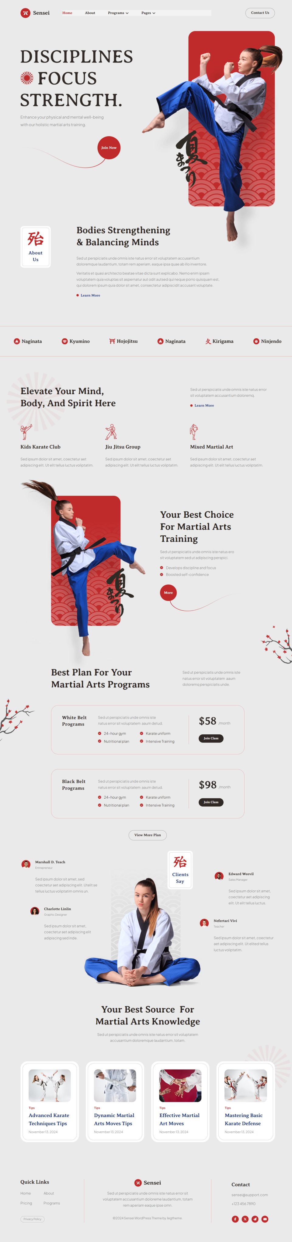 WordPress template ThemeForest Sensei