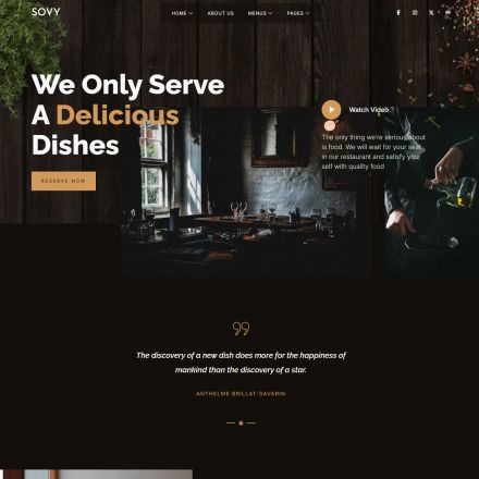 ThemeForest Sovy