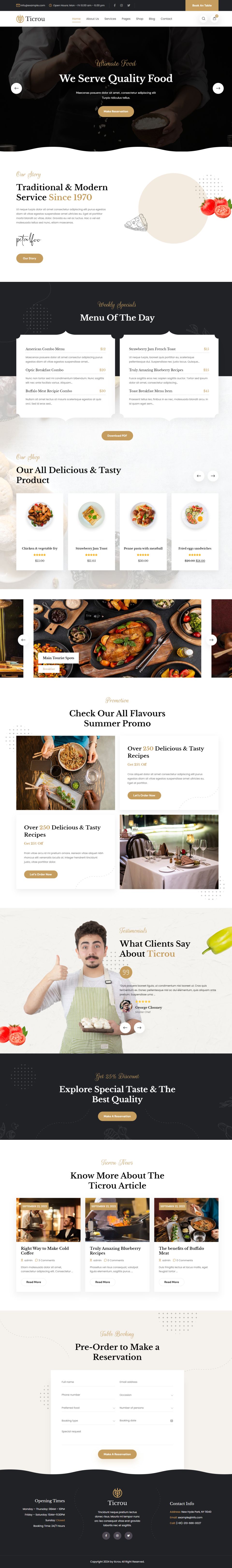 WordPress template ThemeForest Ticrou