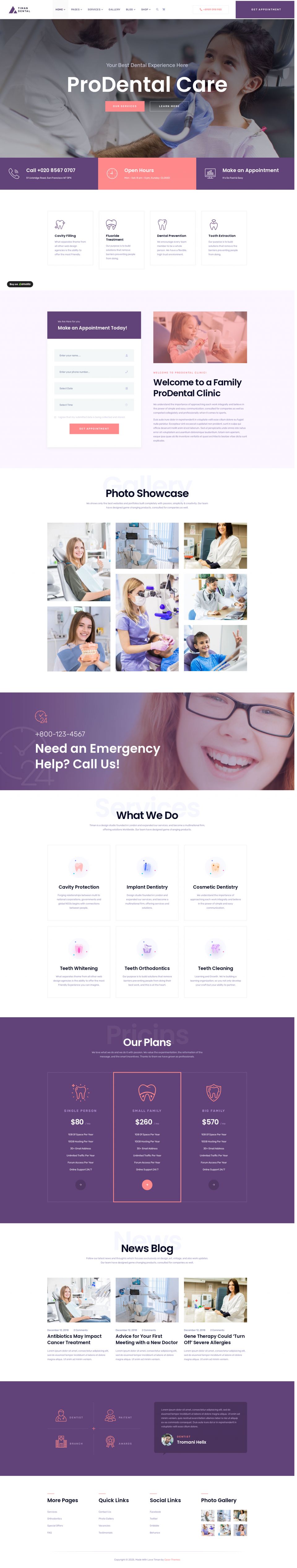 WordPress template ThemeForest Timan