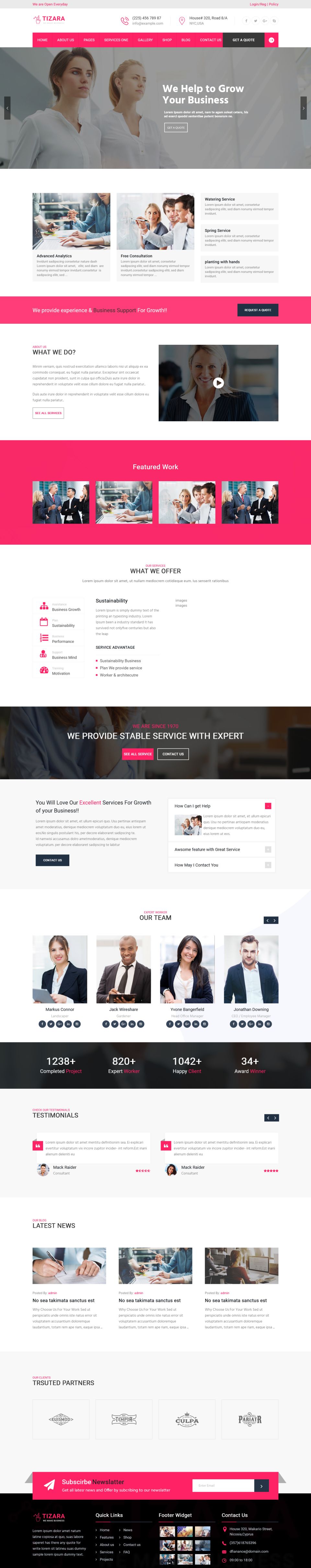 WordPress template ThemeForest Tizara