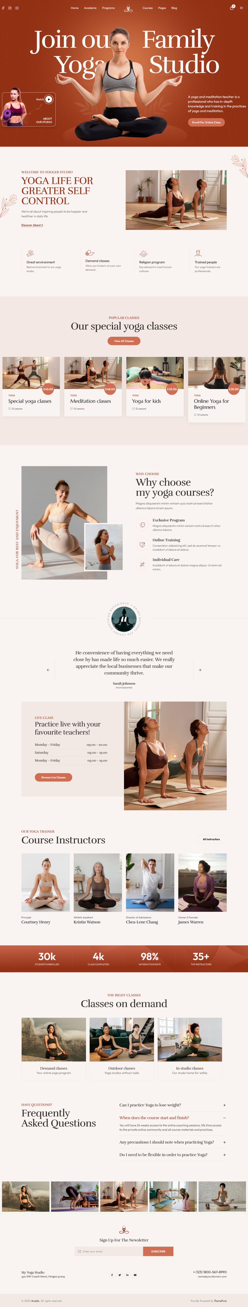 WordPress template ThemeForest Acadia