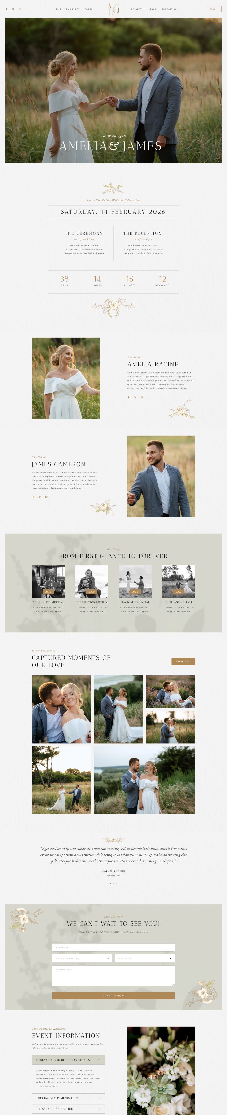Template ThemeForest Amelia & James WordPress template ThemeForest Amelia & James