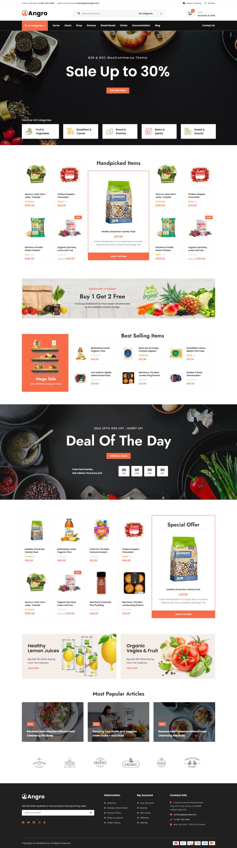 WordPress template ThemeForest Angro