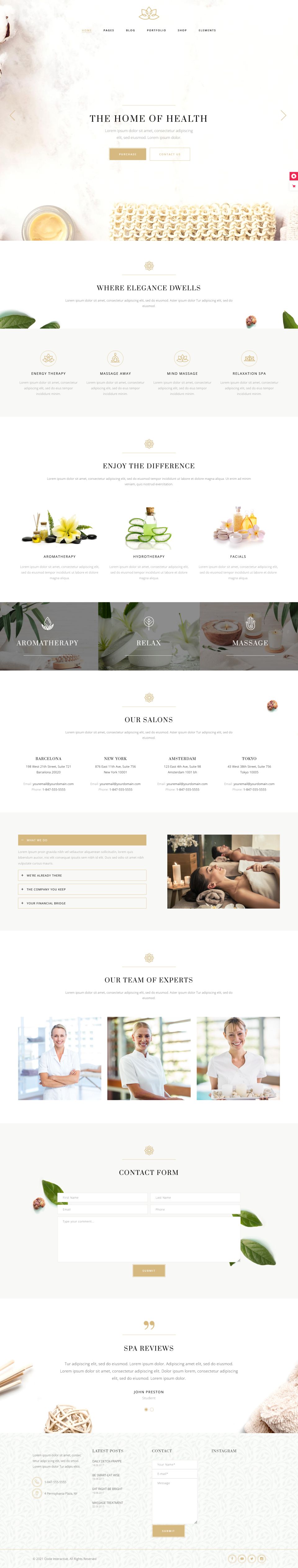 WordPress template ThemeForest Aviana