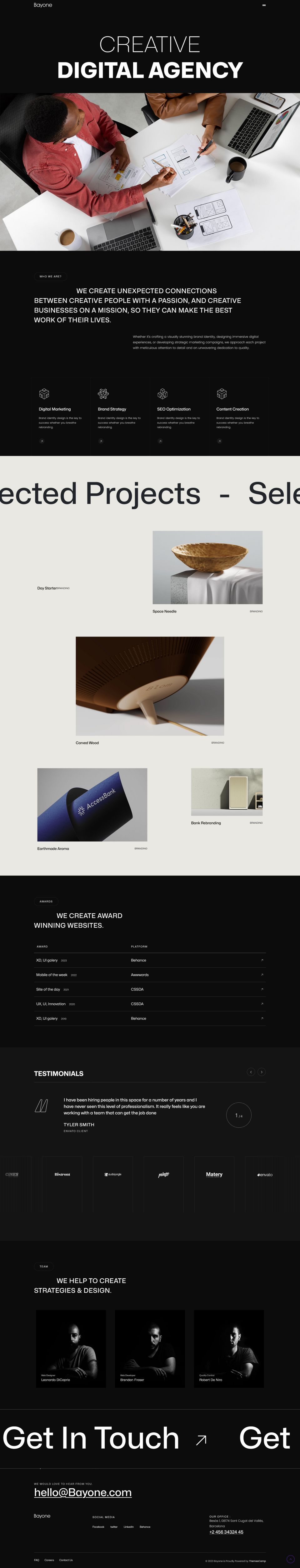 WordPress template ThemeForest Bayone