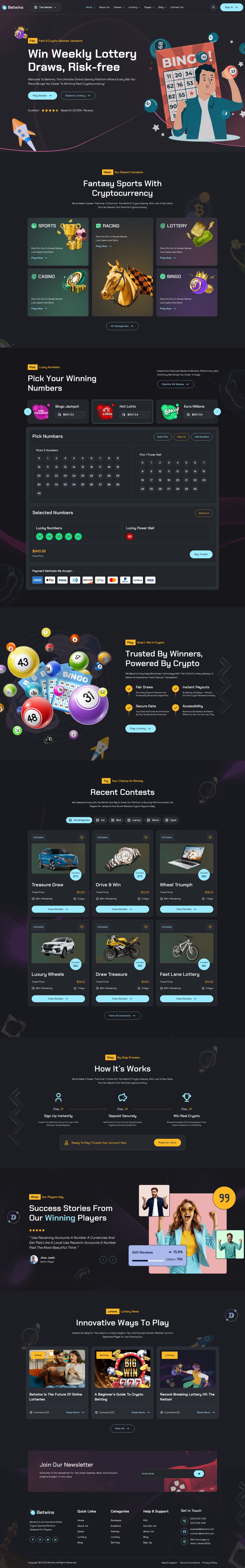 WordPress template ThemeForest Betwins