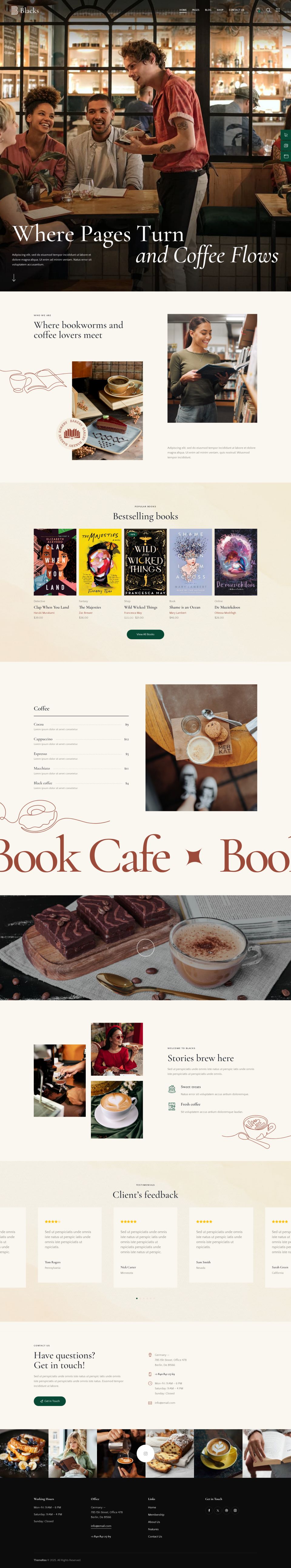 WordPress template ThemeForest Blacks