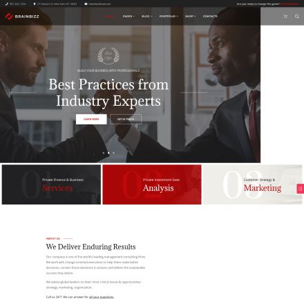 ThemeForest BrainBizz