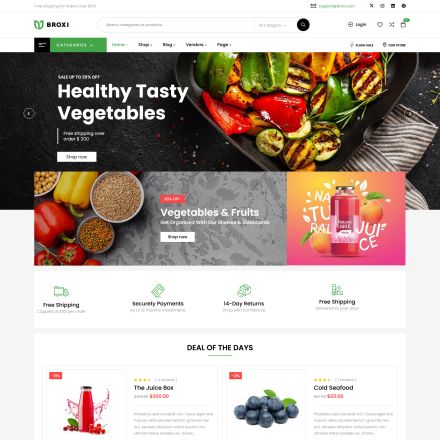 ThemeForest Broxi