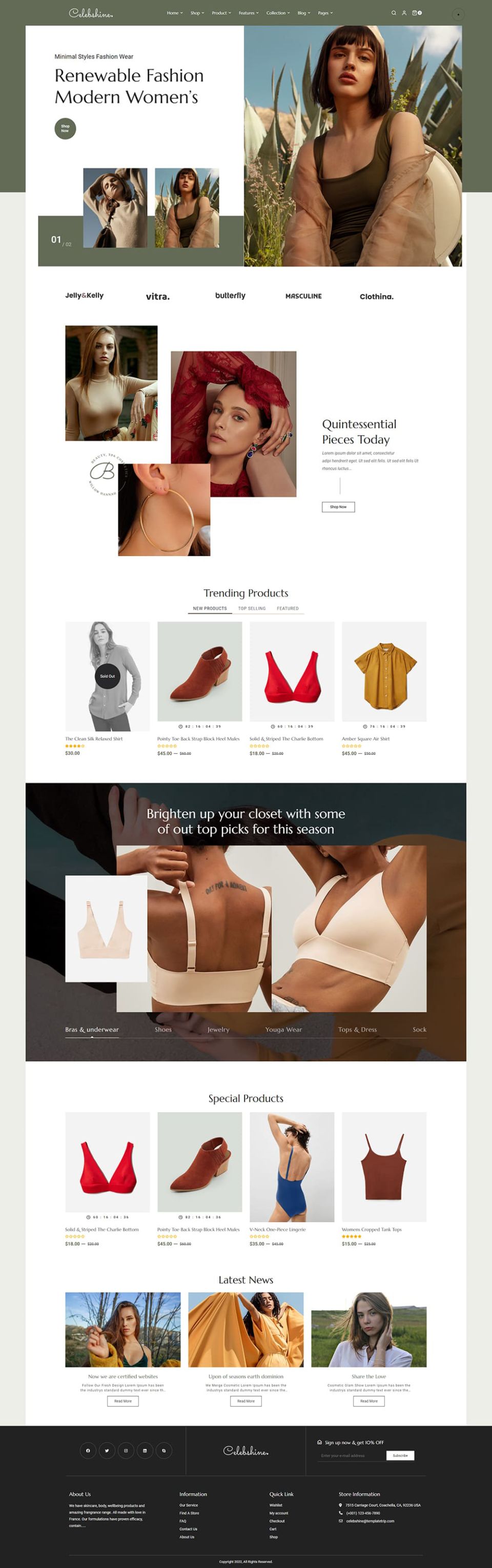 WordPress template ThemeForest Celebshine