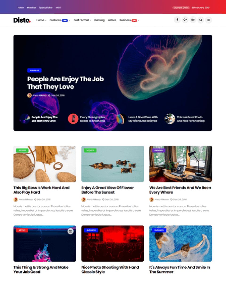 WordPress template ThemeForest Disto