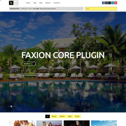 ThemeForest Faxion