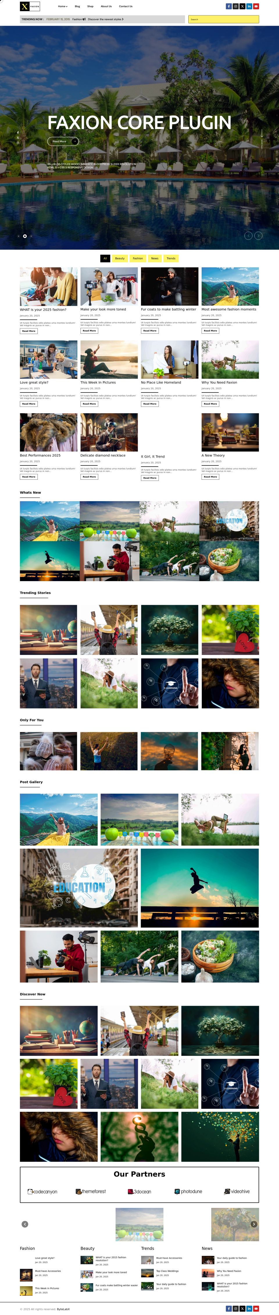 Template ThemeForest Faxion WordPress template ThemeForest Faxion