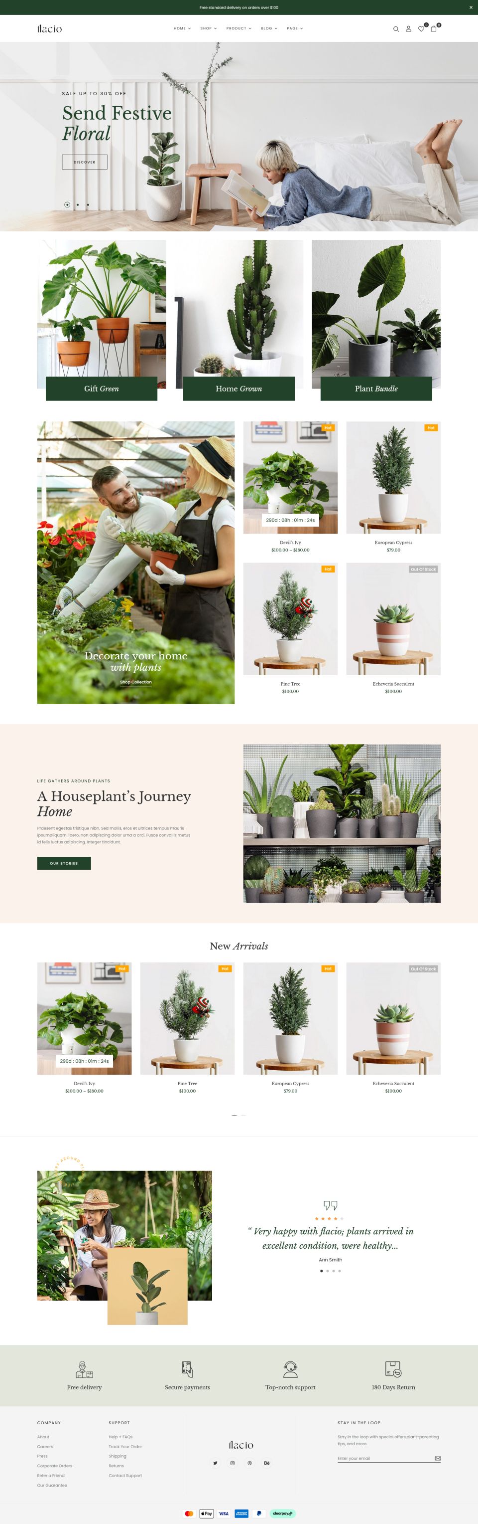 WordPress template ThemeForest Flacio