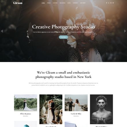 ThemeForest Gleam