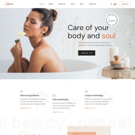 ThemeForest Lemani