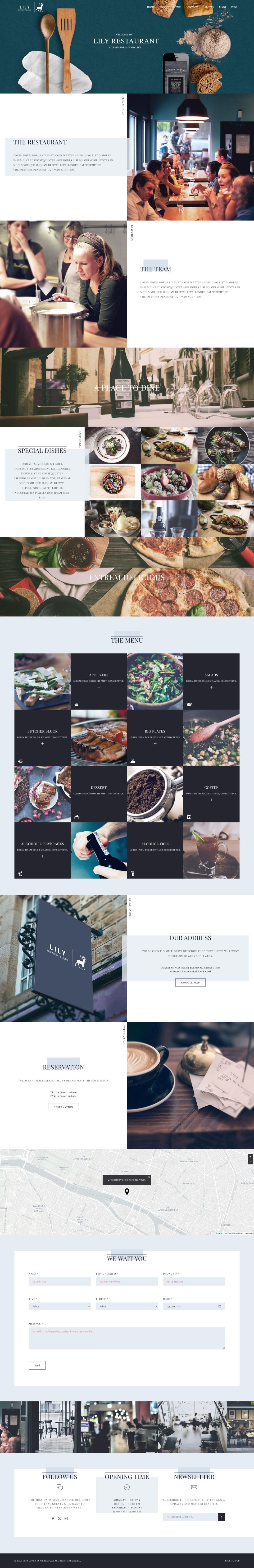 WordPress template ThemeForest Lily