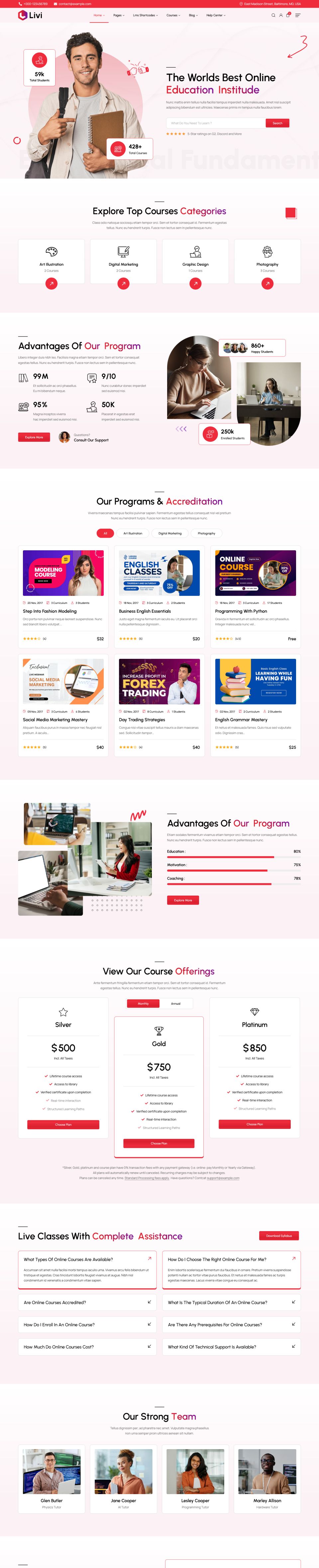 WordPress template ThemeForest Livi