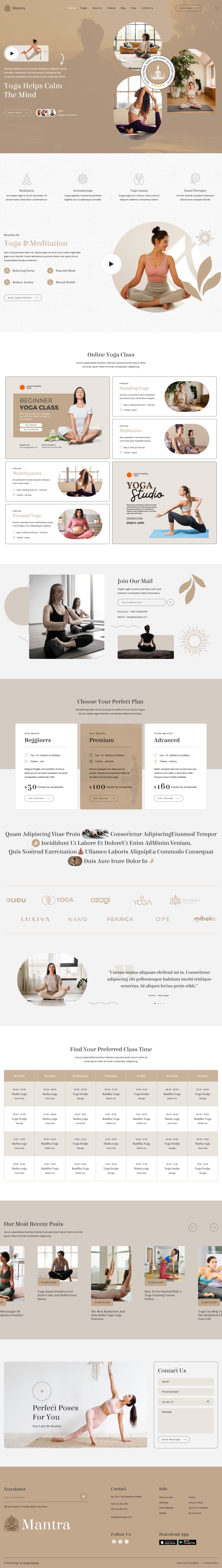 WordPress template ThemeForest Mantra