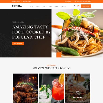 ThemeForest Merida