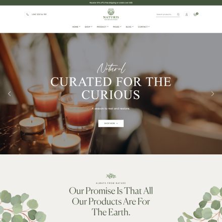 ThemeForest Naturis