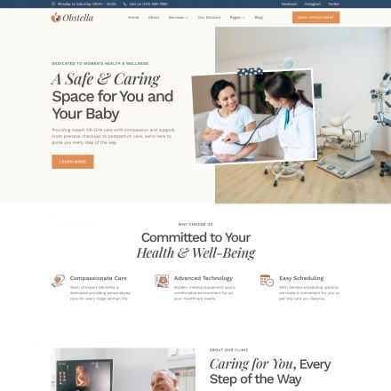 ThemeForest Obstella