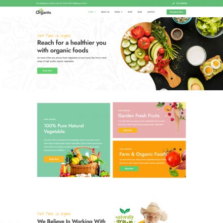 ThemeForest Organto