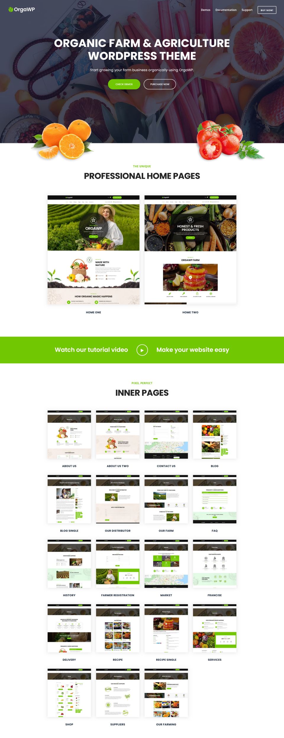 WordPress template ThemeForest OrgaWP