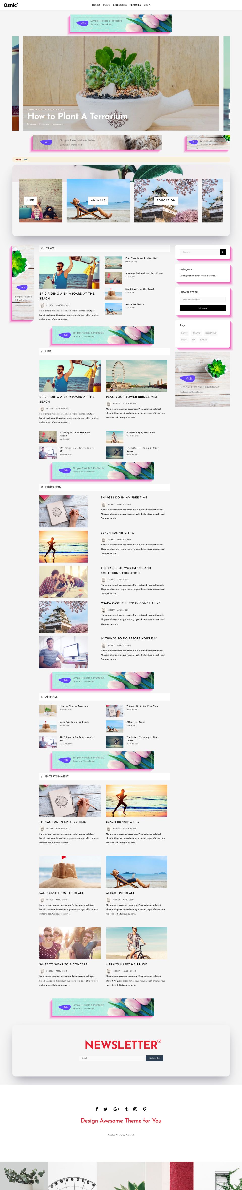 WordPress template ThemeForest Osnic