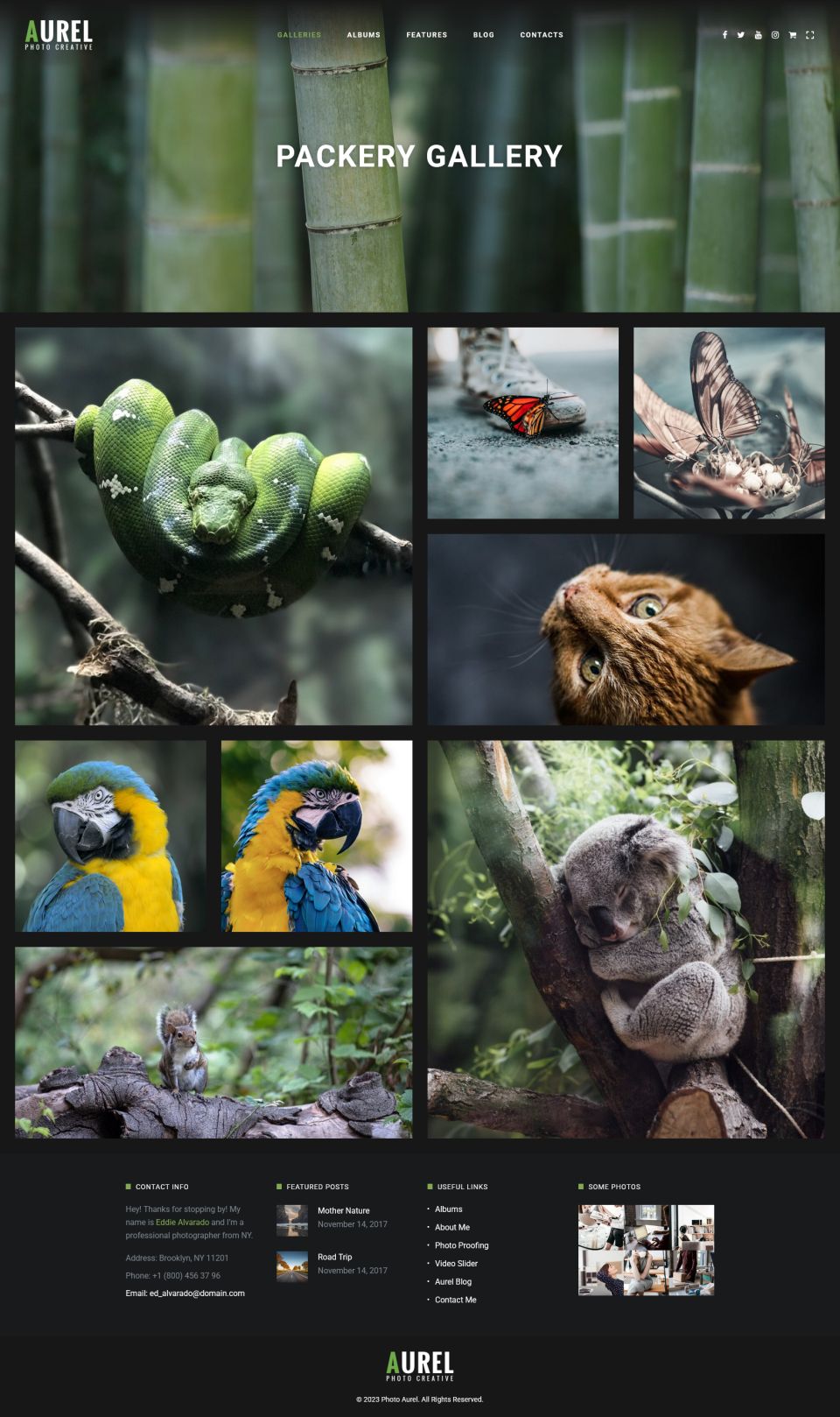 WordPress template ThemeForest Photography Aurel