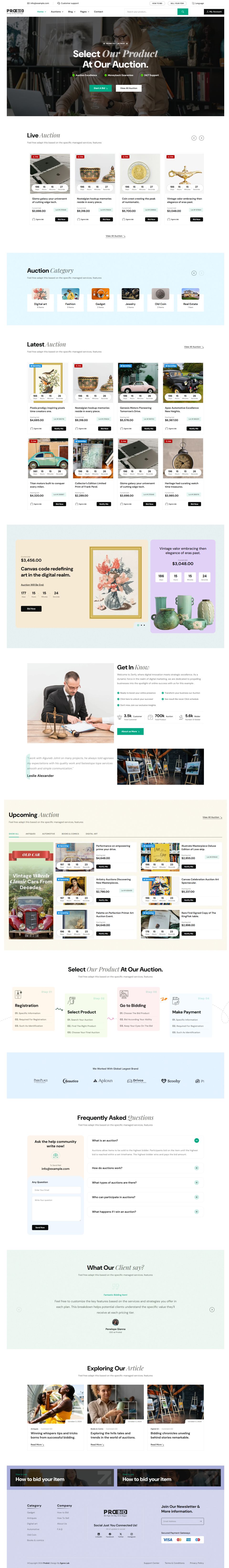 WordPress template ThemeForest Probid