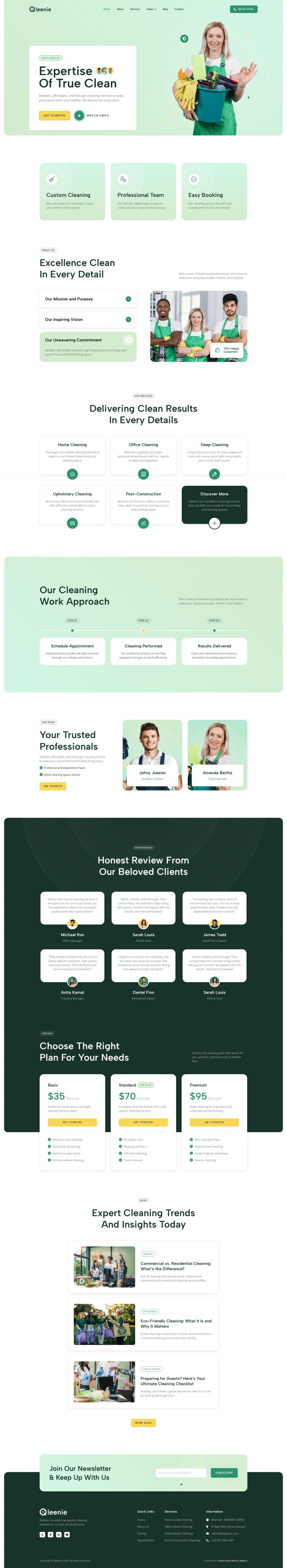 WordPress template ThemeForest Qleenie