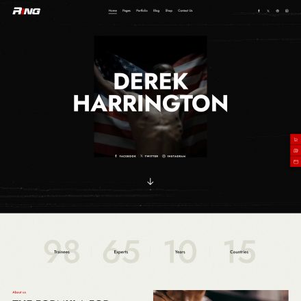 ThemeForest Ring