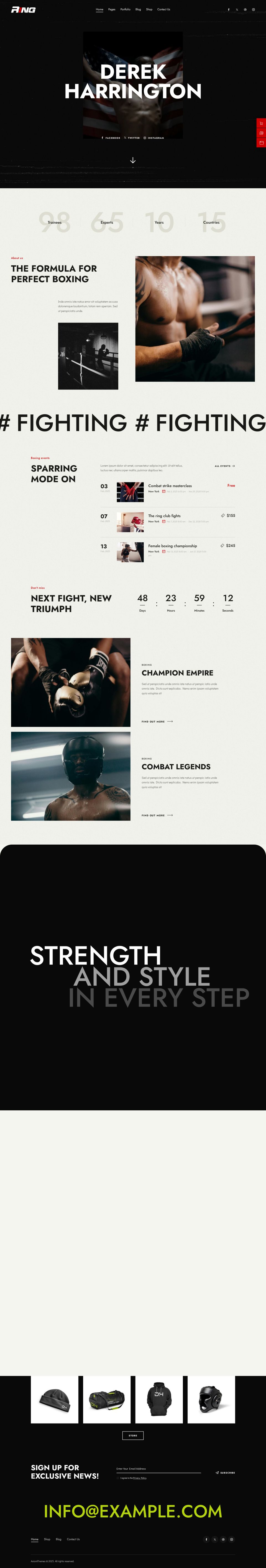 WordPress template ThemeForest Ring
