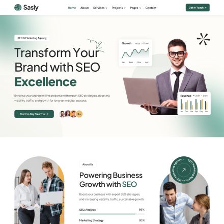 ThemeForest Sasfy