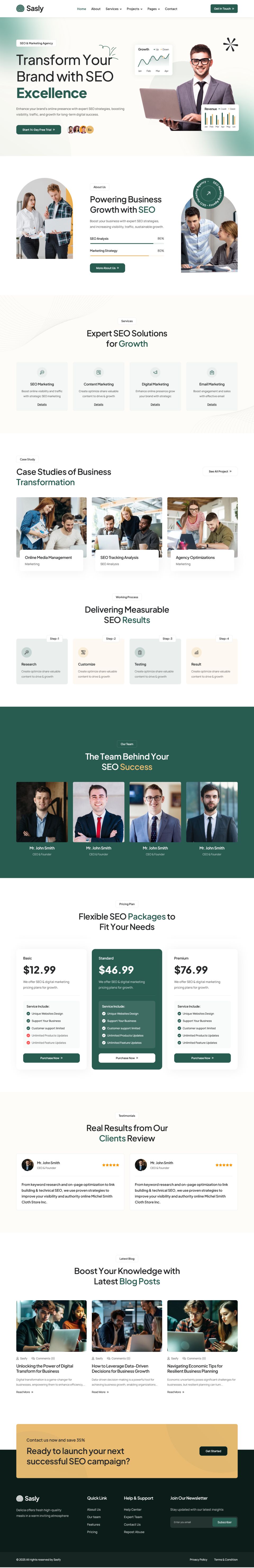 WordPress template ThemeForest Sasfy
