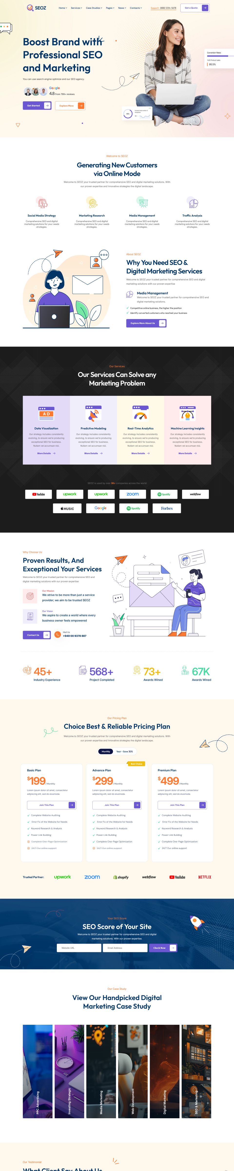 WordPress template ThemeForest Seoz
