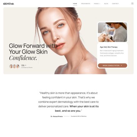 ThemeForest Skintiva
