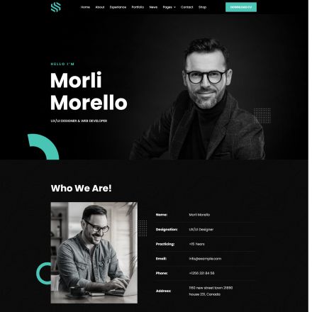 ThemeForest Sonx